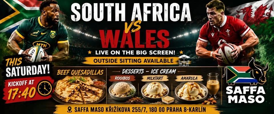 Springboks vs Wales 🇿🇦🏉