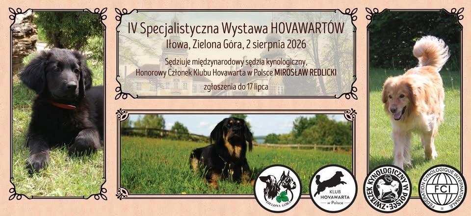 IV Specjalistyczna Wystawa Hovawartów