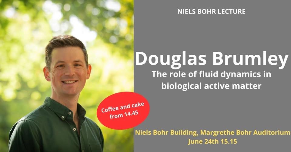 The role of fluid dynamics in biological active matter