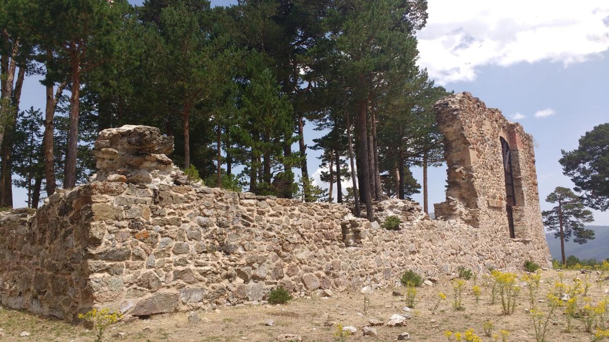 Domingo 24: Casa Eraso y pinares de Valsaín. Nivel Medio Básico.