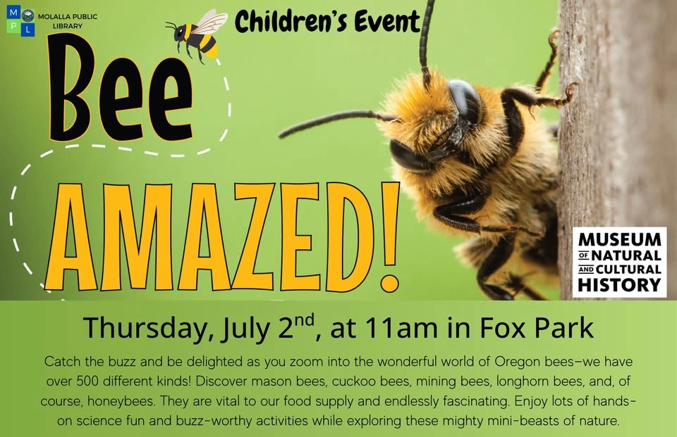 Bee Amazed!