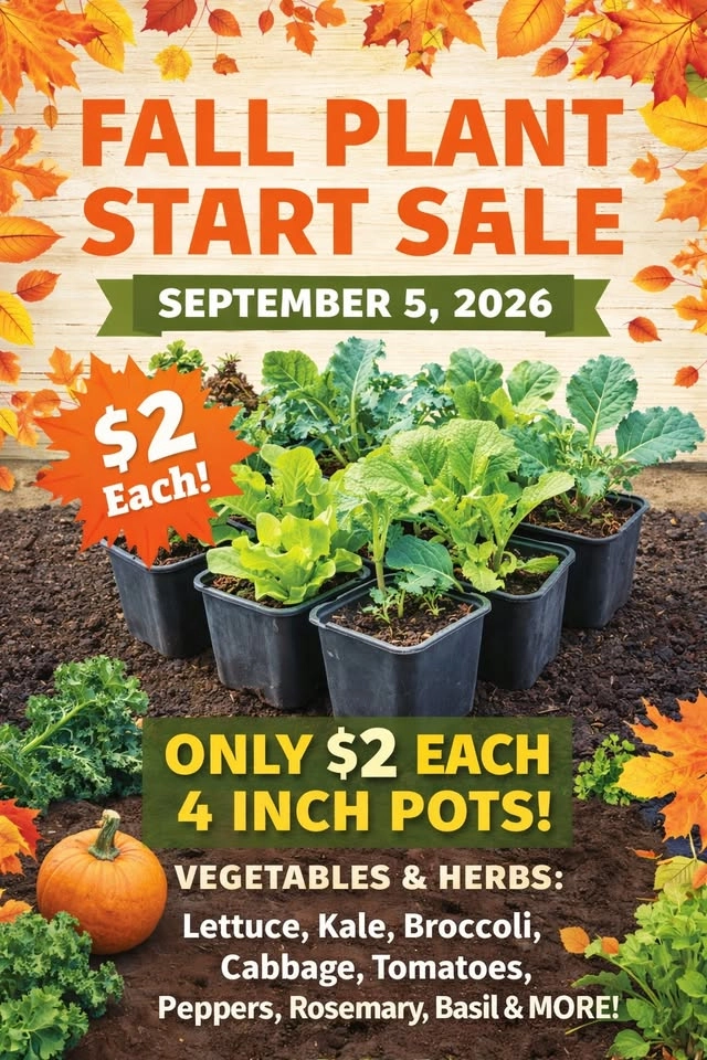 Fall Plant Starts Sale