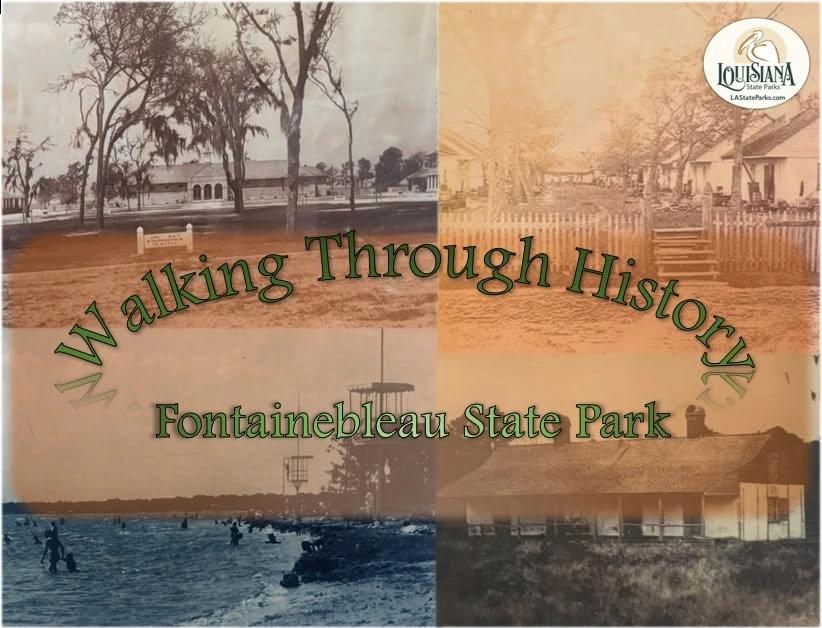 Walking Through History
