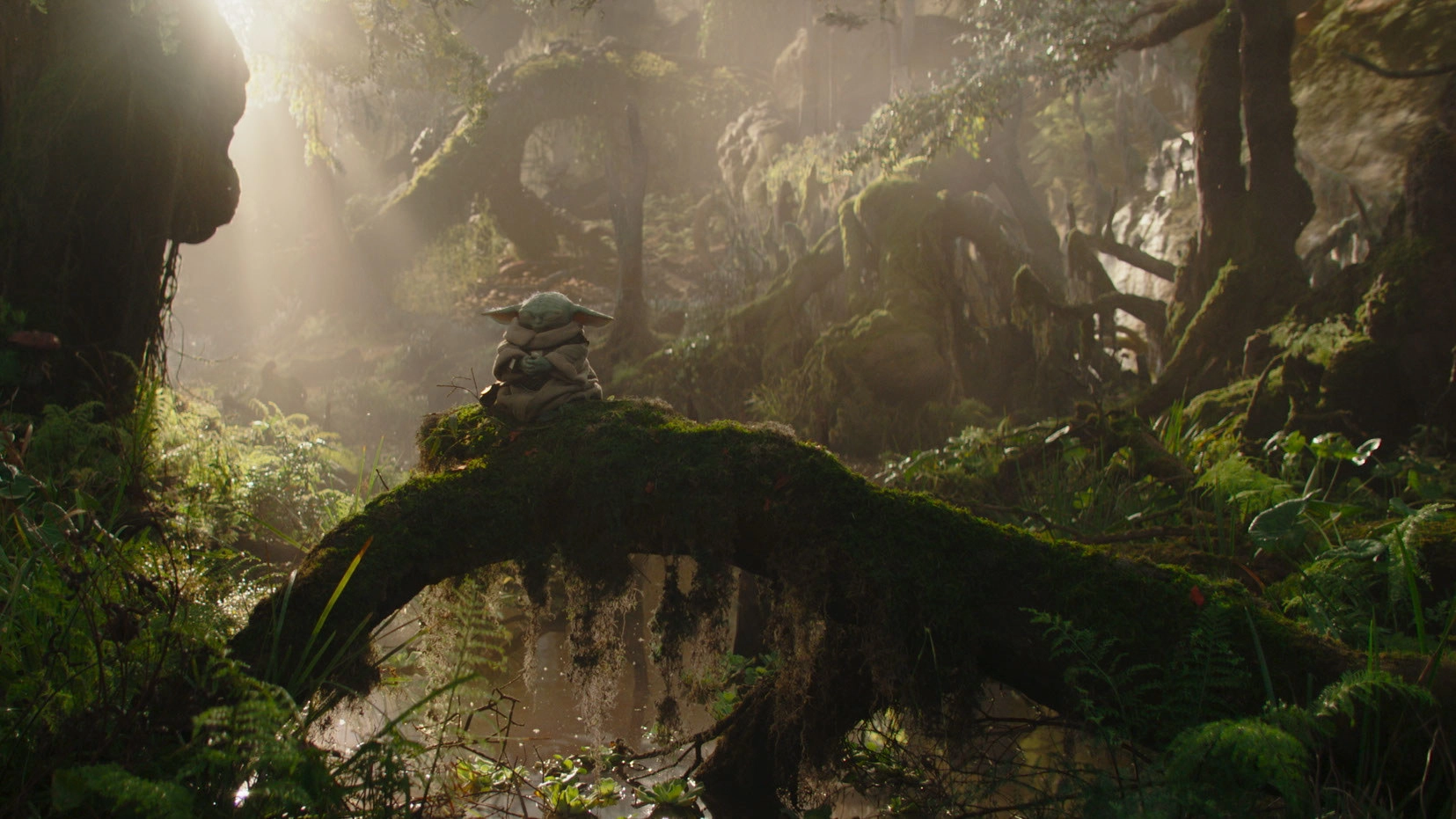The Mandalorian and Grogu