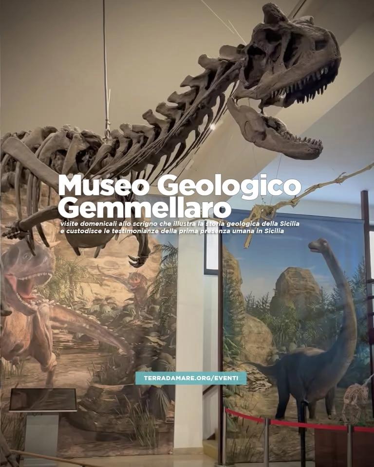 Apertura straordinaria domenicale Museo geologico Gemmellaro