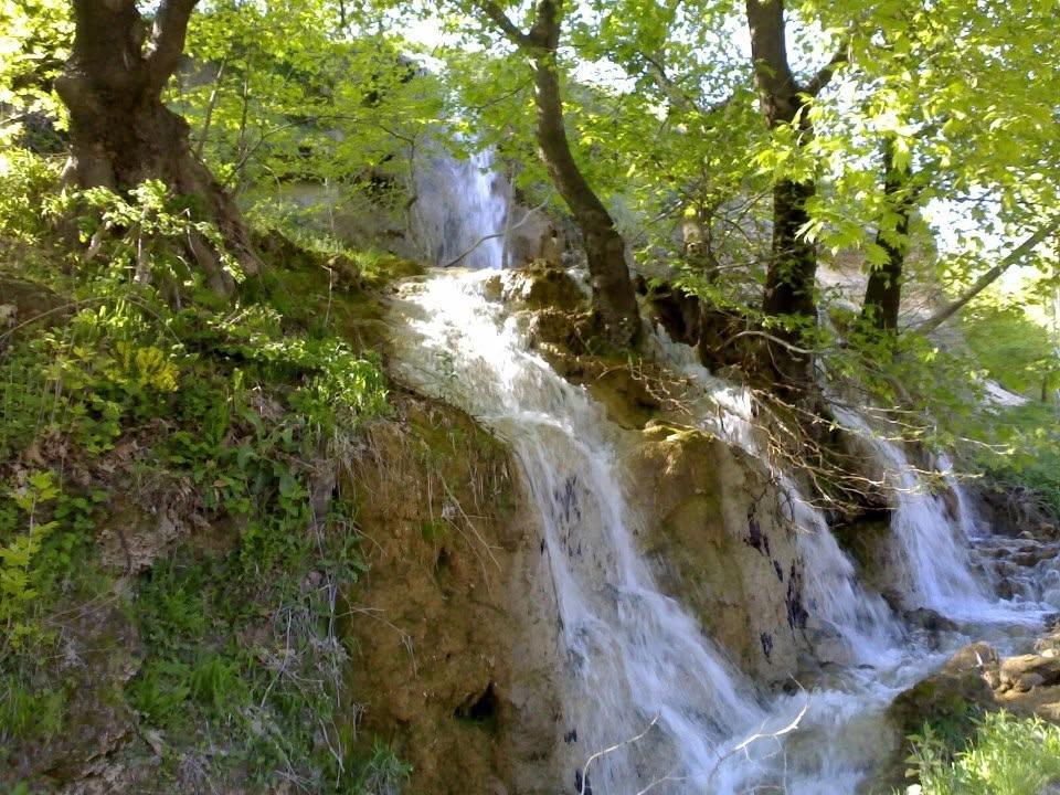 Bilal Balı Çocuklarının Sünnet Cemiyeti