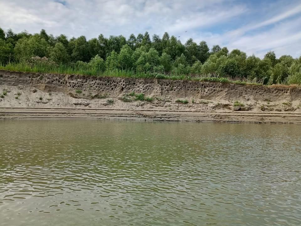 PLIMBĂRI PE DUNARE DIN BRĂILA ÎN WEEKENDUL 18-19.07.2026