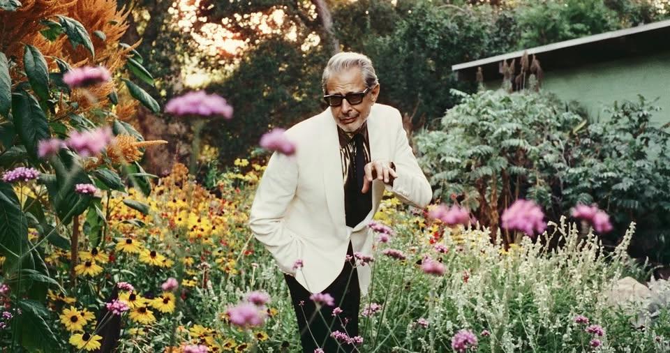 Jeff Goldblum & The Mildred Snitzer Orchestra: The Night Blooms World