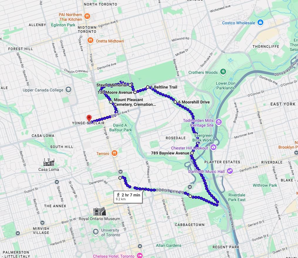 AI Walks YYZ - Urban Jungle