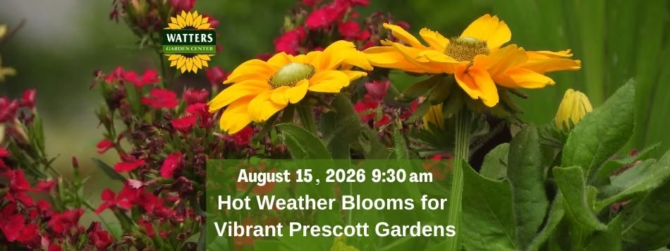 Free Garden Class: Hot Weather Blooms for Vibrant Prescott Gardens