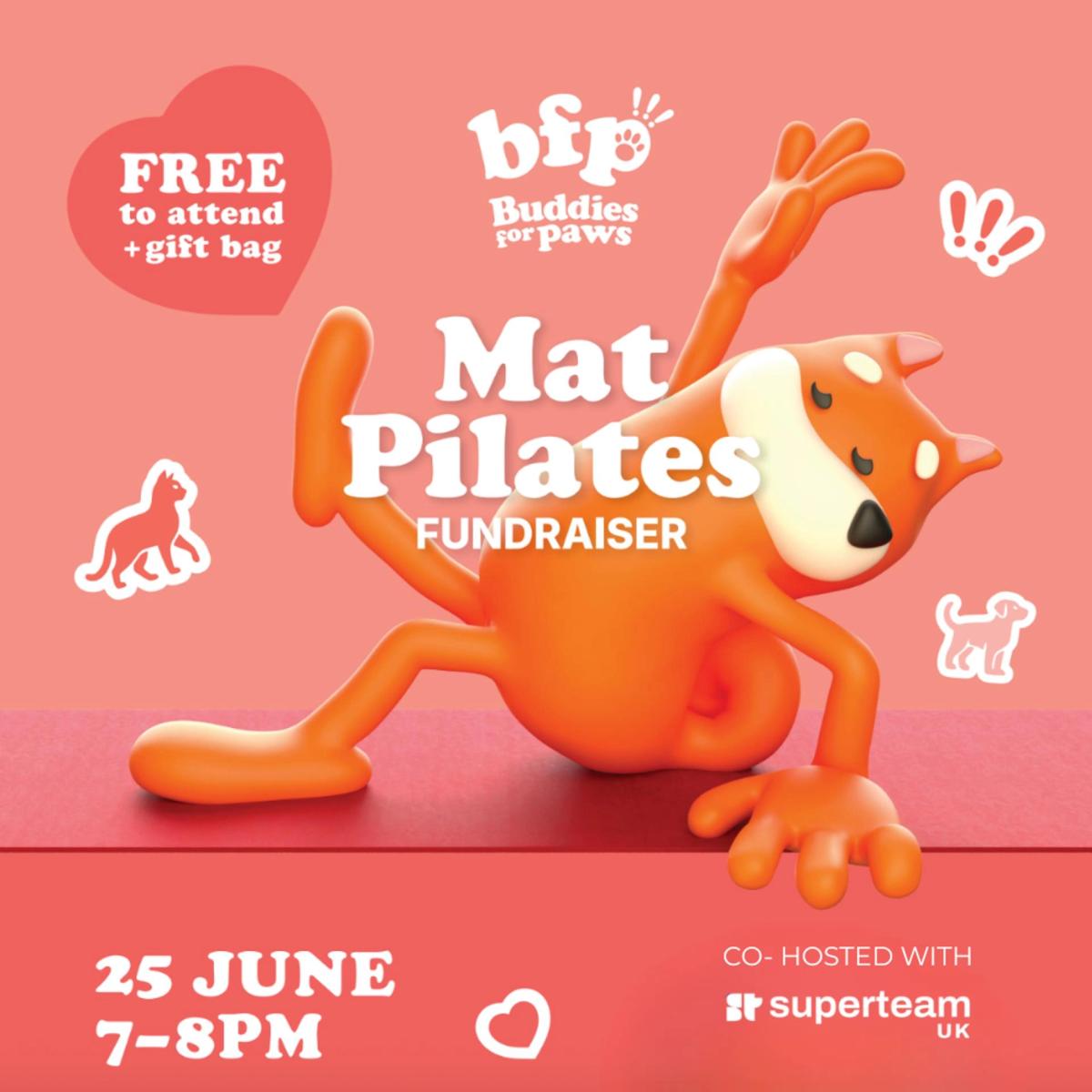 Buddies for Paws Free Pilates Class