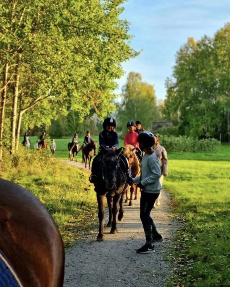 Hästens dag 6/6