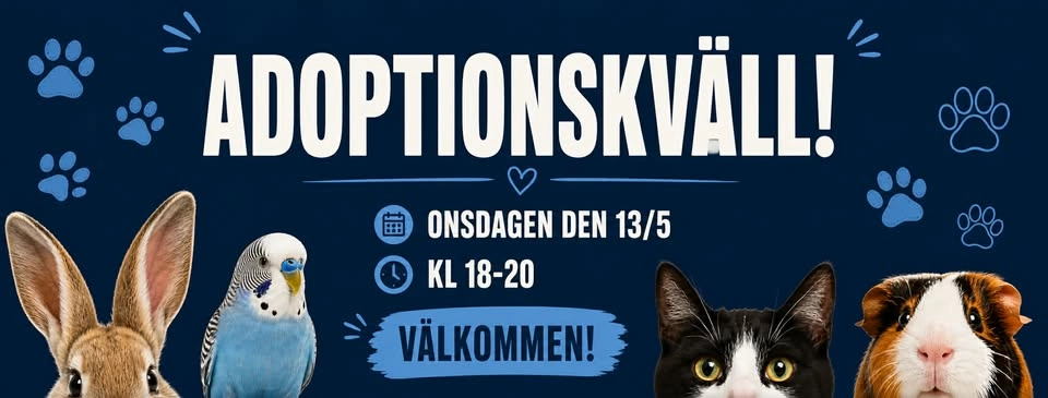 Adoptionskväll på Djurhemmet