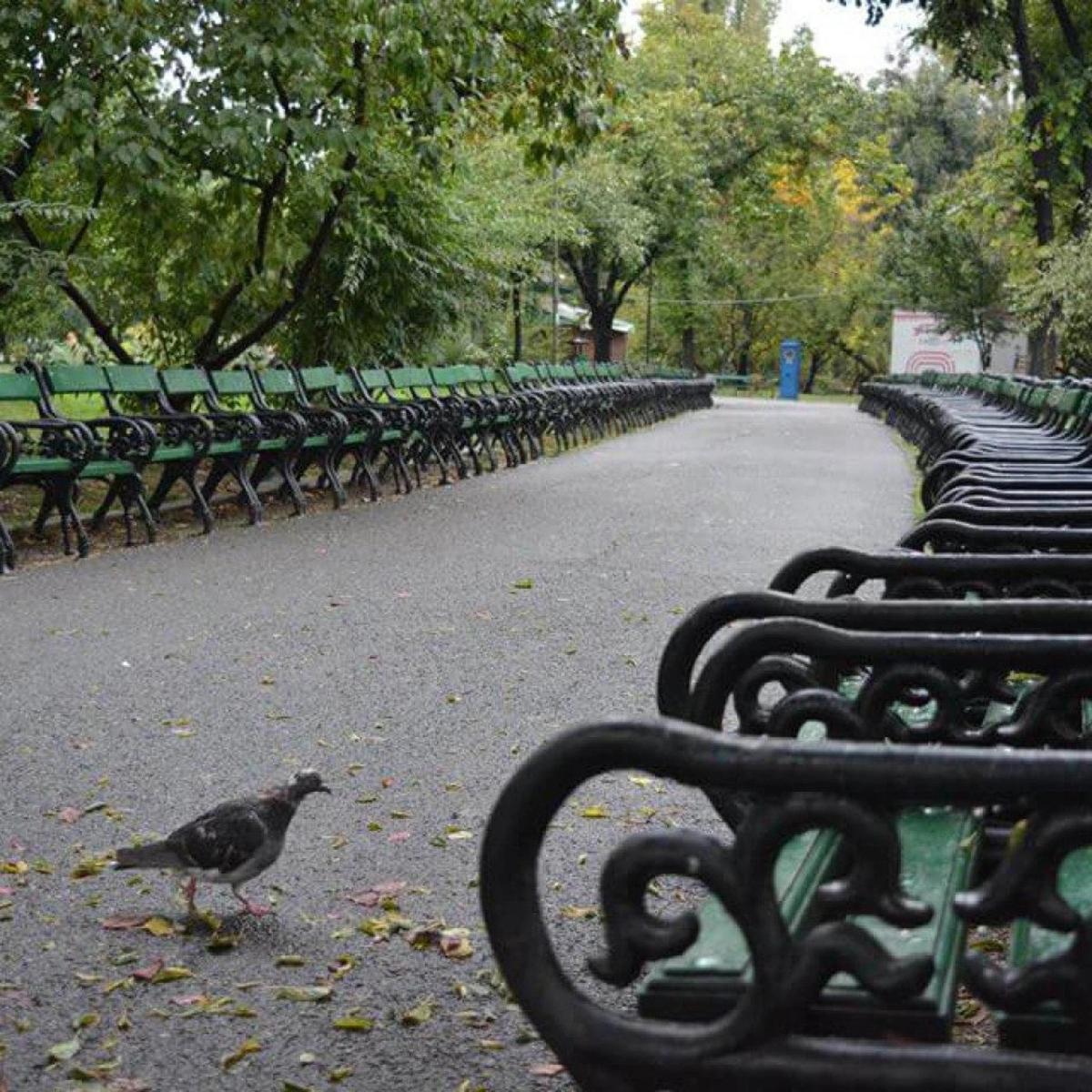 TURA x Ideas Chat!, prima Tură de parc unde wantreprenorii se întâlnesc cu antreprenorii, Cișmigiu