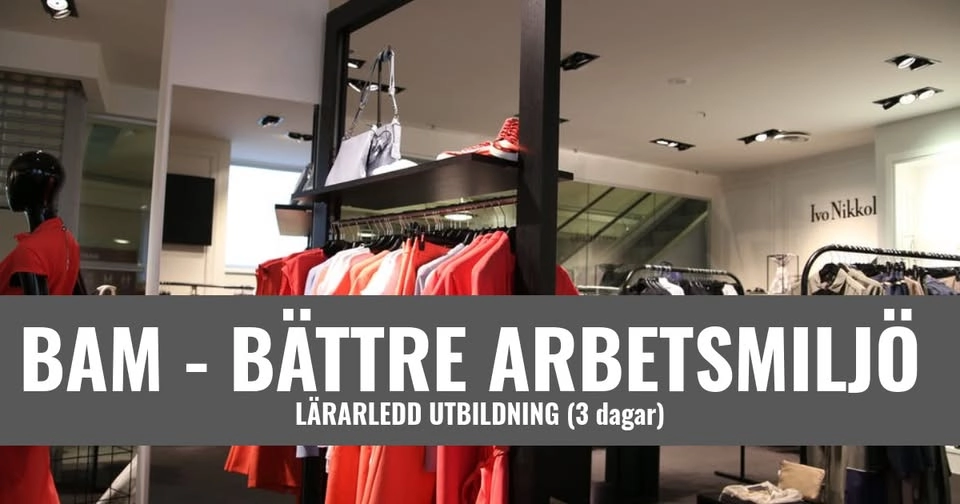 BAM - Bättre Arbetsmiljö - Malmö - 10 500 SEK/ pers.