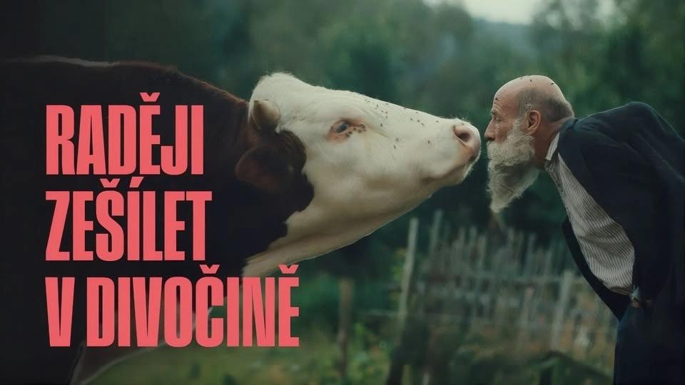 Kino v Komunitnej záhrade na suti: Raději zešílet v divočine
