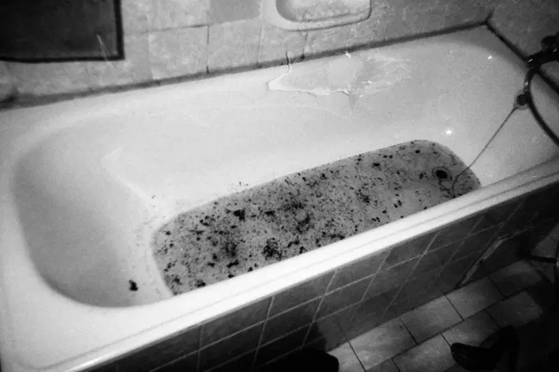 Doma kosti šťávy chemie