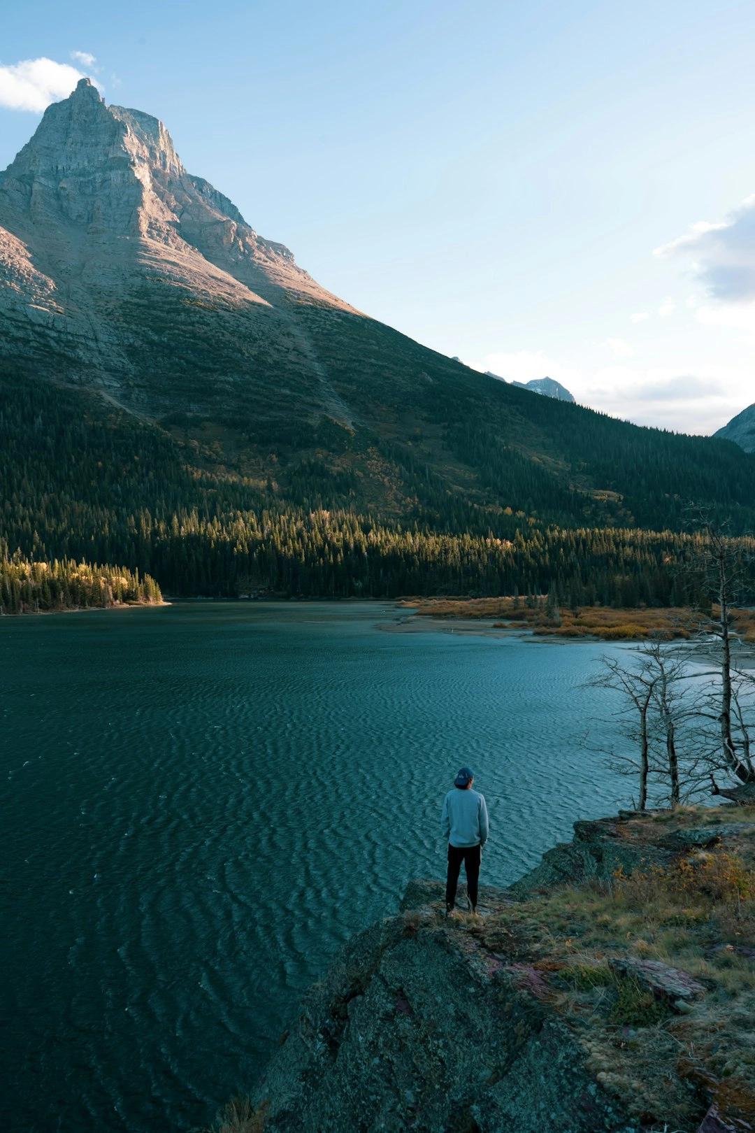 How Should We Treat Our Natural Landscapes?: Paradigms of Environmental Stewardship