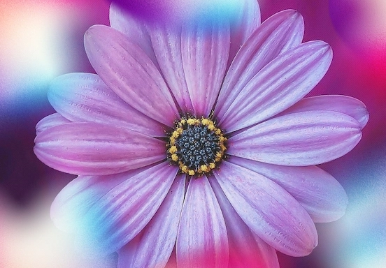 Malmö latinskolas vårkonsert