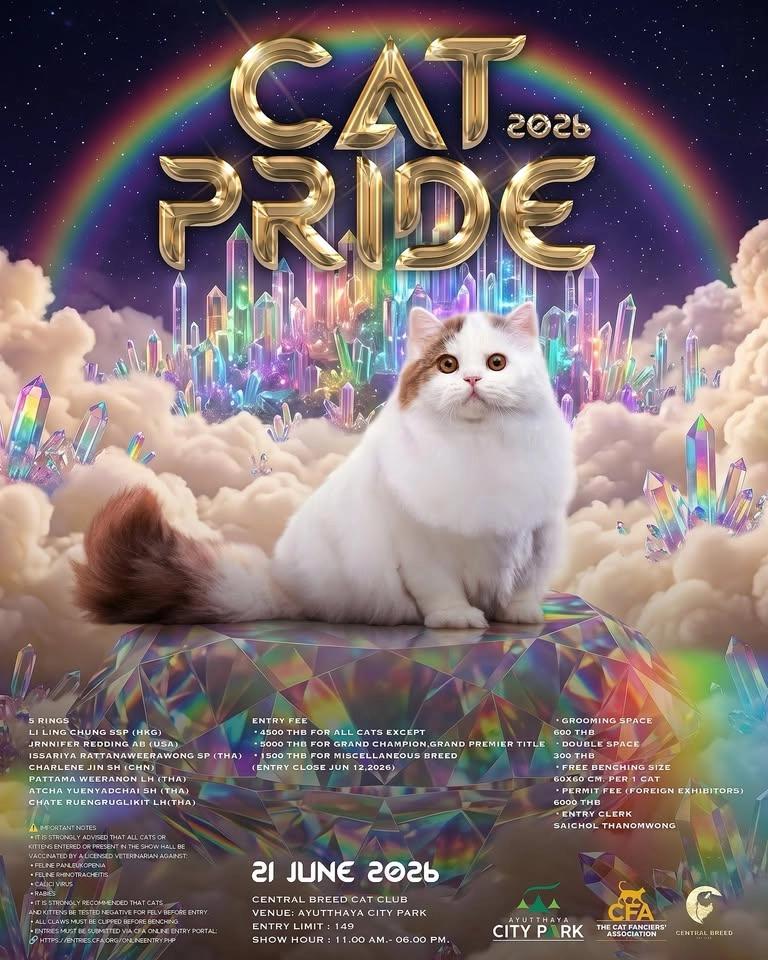 CAT PRIDE 2026