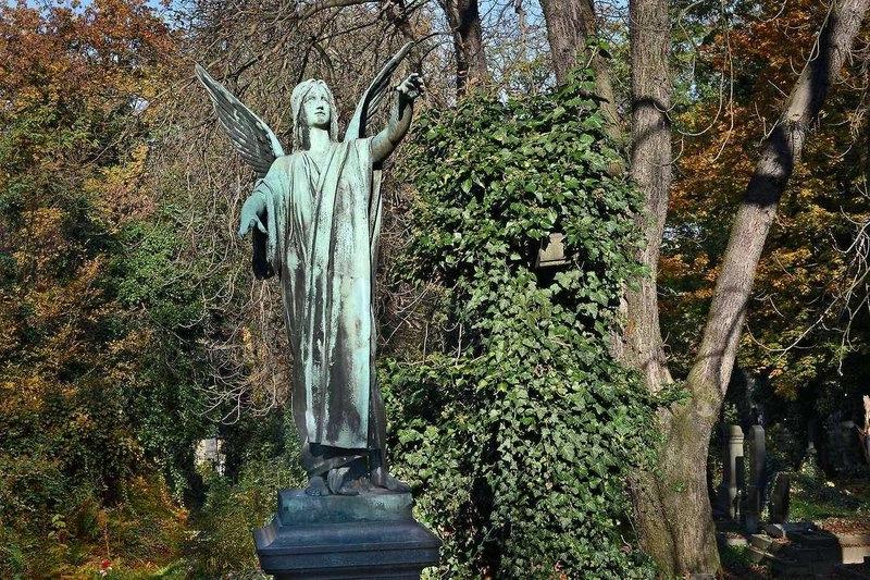 Olšany umělecké s Kateřinou Svobodovou