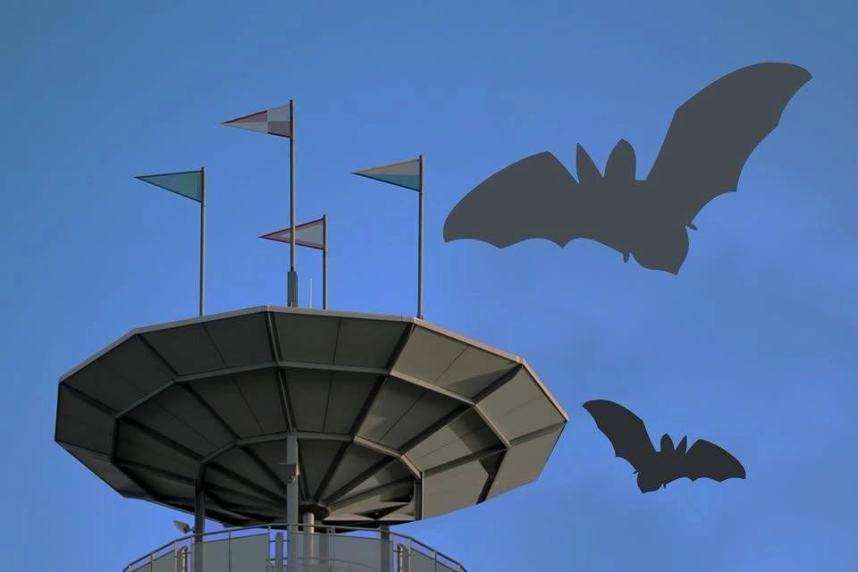 Fledermausexkursion für Familien