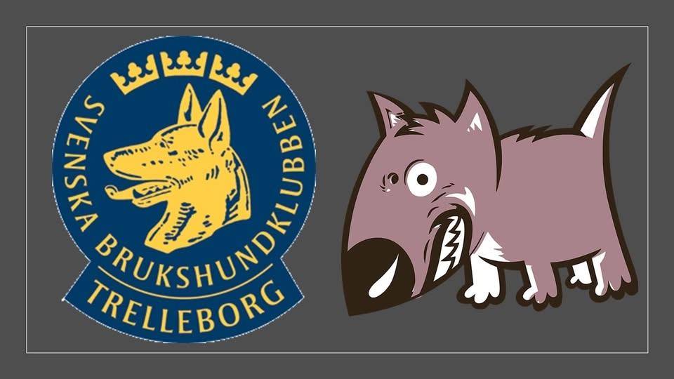 Hundmöten
