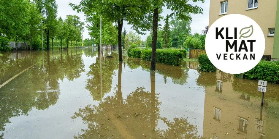 Klimatsäkra din fastighet – så minskar du risken för skador