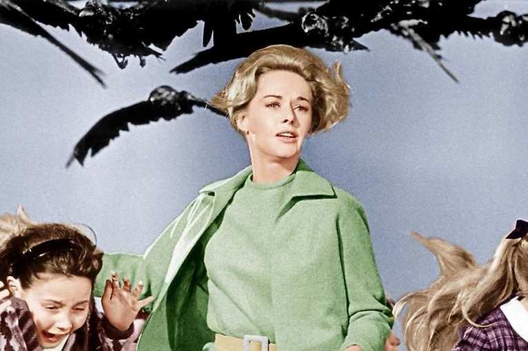 The Birds
