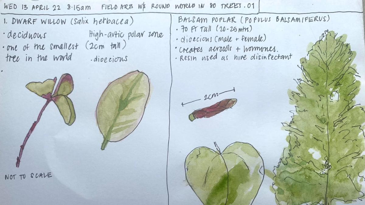 August Meetup for the Sydney Nature Journal Club