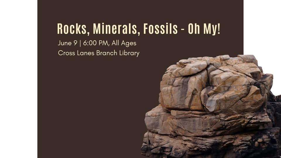 Rocks, Minerals, and Fossils - Oh My!