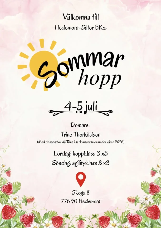 Hedemoras Sommarhopp ☀️🍓