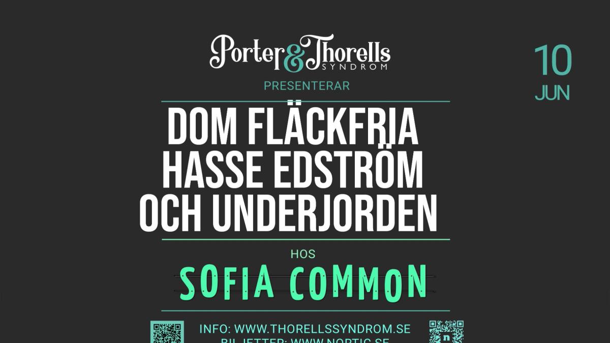 DOM FLÄCKFRIA + HASSE EDSTRÖM och UNDERJORDEN