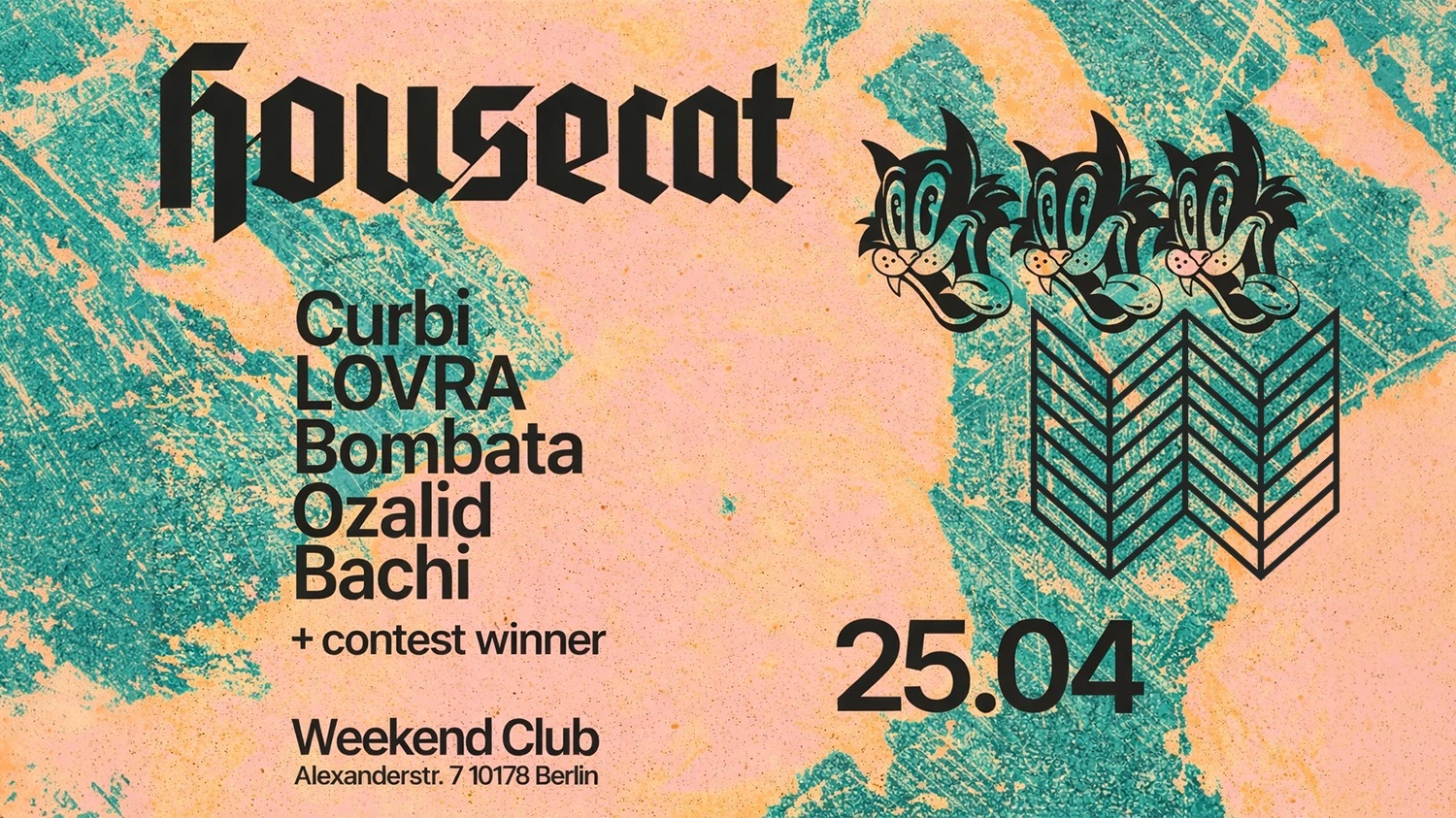 Housecat W/ Curbi, LOVRA & Bombata