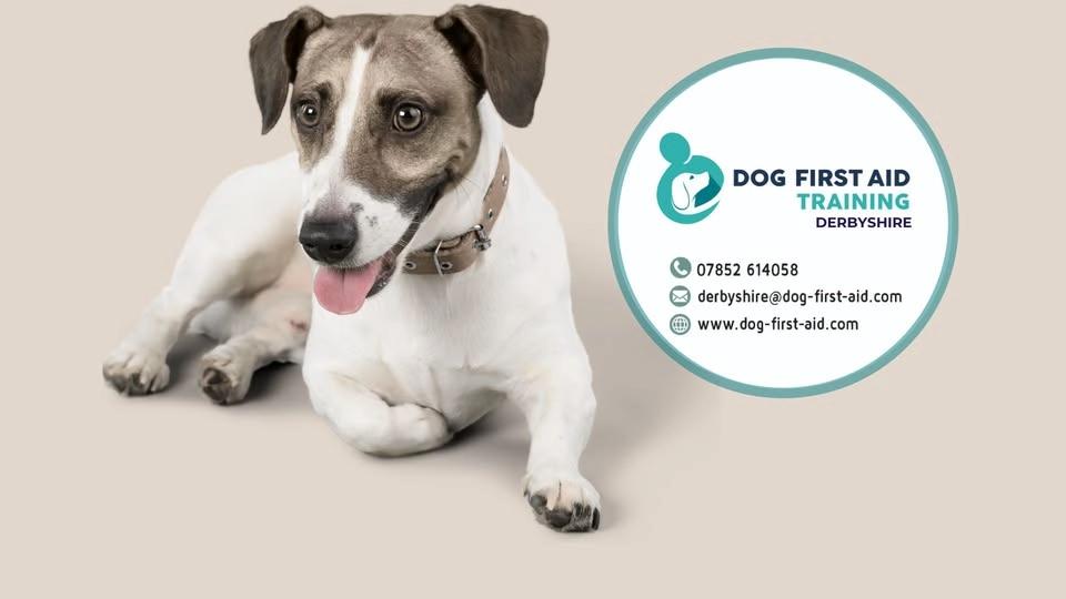 Allestree (Derby) Dog First Aid Training