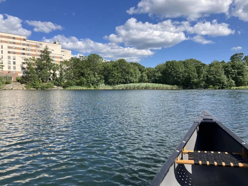 Neighborhood Nature: Canoeing at Bell Pond