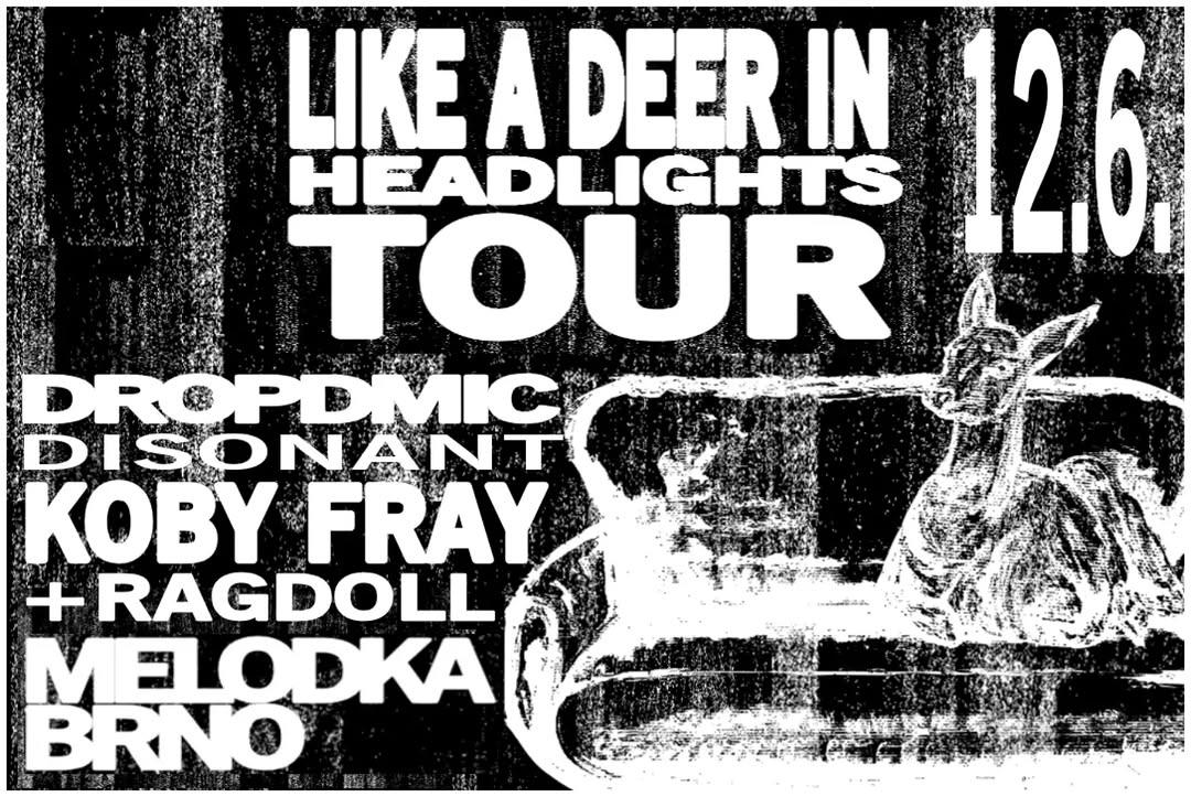 Like a Deer in Headlights Tour