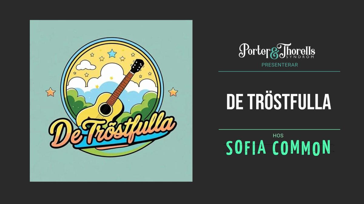 DE TRÖSTSFULLA