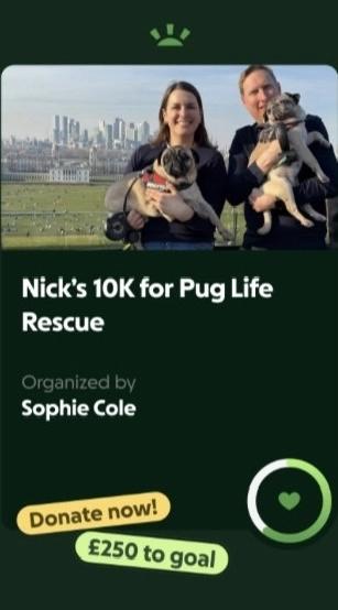 Nick’s 10K run for Pug Life Rescue