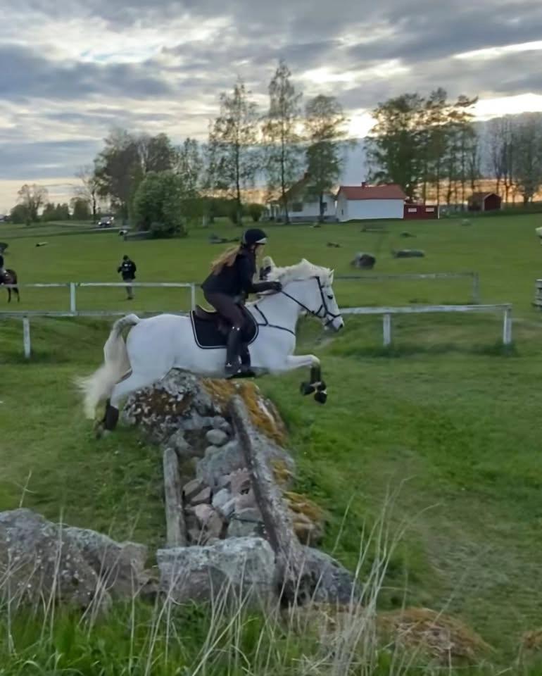 INSTÄLLD!!! Terrängträning i Mosås, Örebro