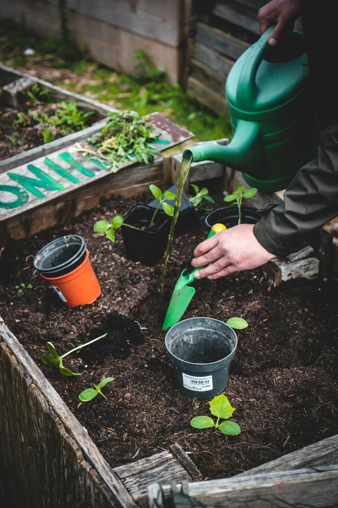 Fordham Faculty & Administrators: Volunteer at Van Cortlandt Park