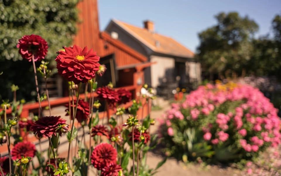 Kalmar Stadsfest på Krusenstiernska gården