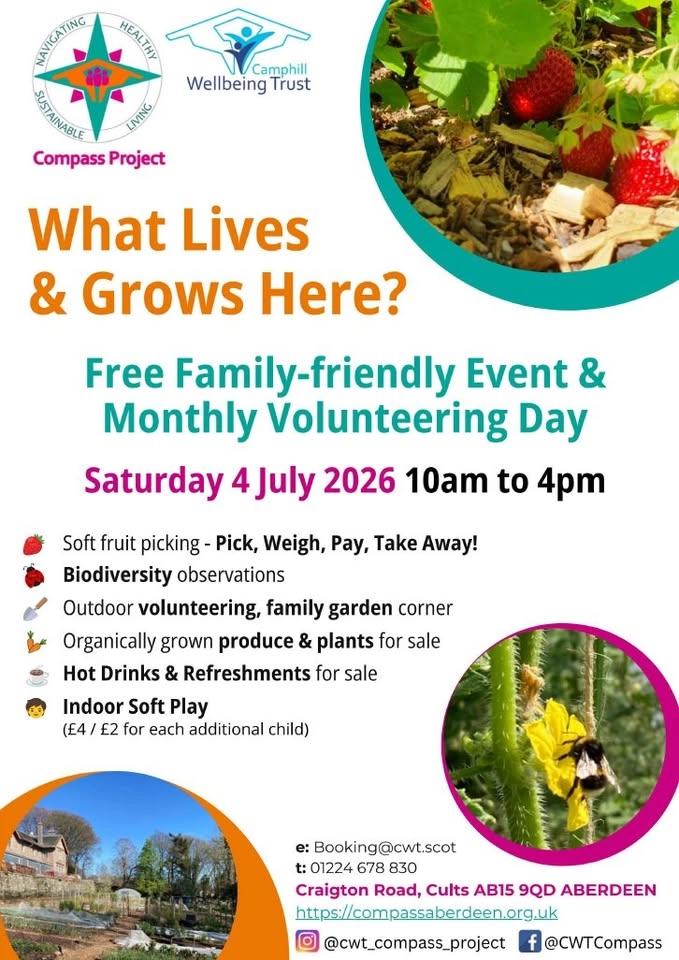 What lives and grow here: Biodiversity observation & fruit picking