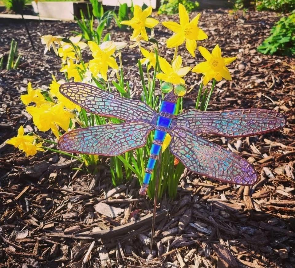 Stained Glass Dragonflies in the BEER GARDEN @ BARTS