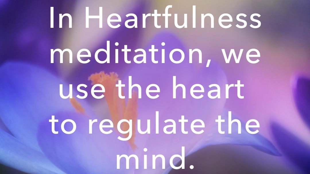 Heartfulness meditasjon Torshov