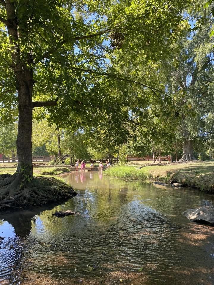 Creek and Craft Day