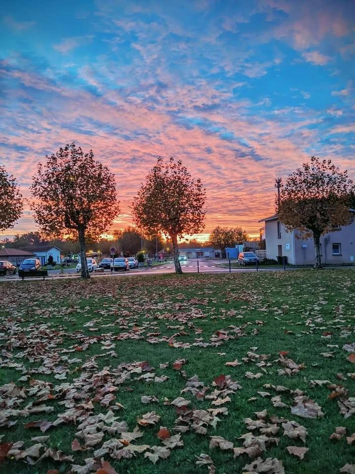Vide maison