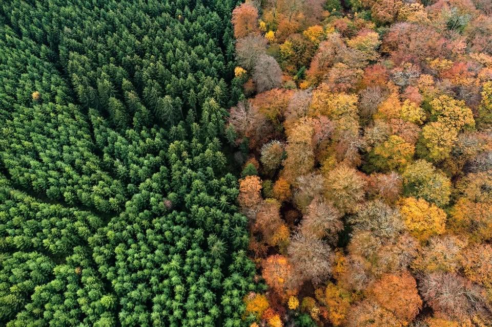 Invigning av Naturfotografernas utställning Skog - Mångfald eller enfald