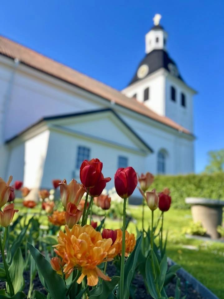 Musik i sommarkväll i Vårdnäs kyrka