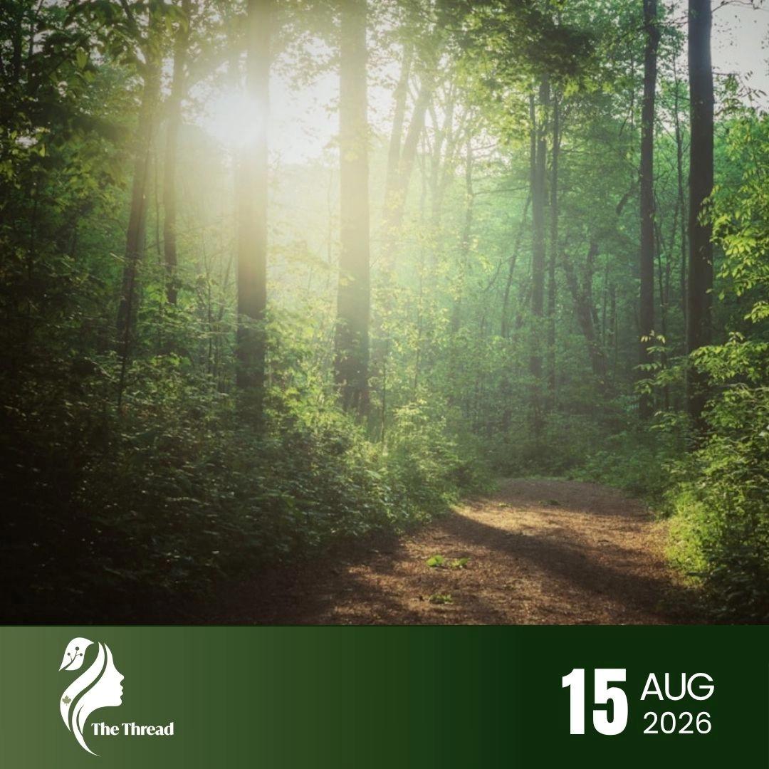 Trail & Talk | A Women in Tech Forest Walk